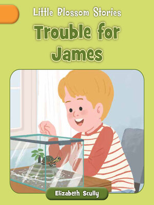 cover image of Trouble for James